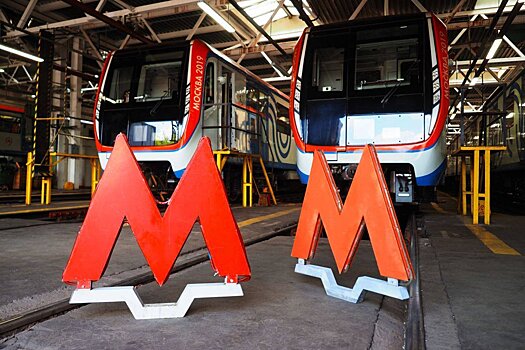 В Москве за час продали главные символы метрополитена
