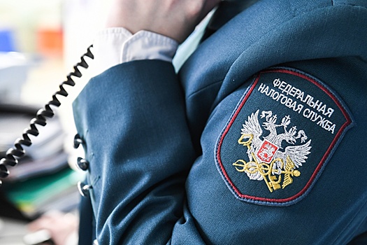 Правительство рассмотрело поправки, упрощающие списание налоговых долгов граждан