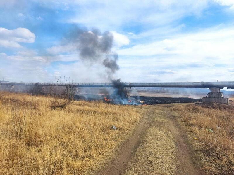 В СНТ «Багульник-2» горела сухая трава