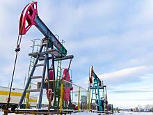 Россия решила компенсировать сверхдобычу нефти на 691 тыс. баррелей в сутки