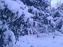 Днем тепло — погода по Кыргызстану на 2 октября
