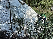 Почти 800 000 рублей взыскивает Росприроднадзор с мэрии Дзержинска