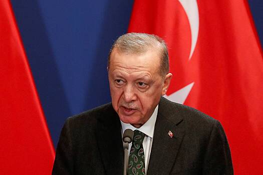 Эрдоган назначил нового главу Центробанка Турции