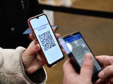 Поправки о посещении общественных мест по QR-кодам прошли первое чтение