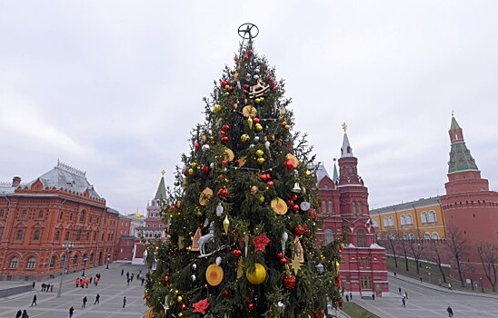 В Москве установили новогоднюю елку
