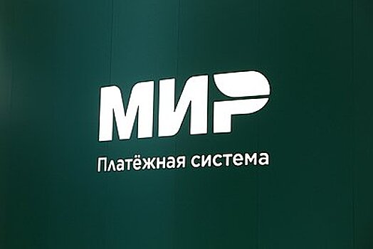 Стало известно о планах Турции по альтернативной «Миру» системе