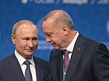 Стало известно о планах Эрдоган провести переговоры с Путиным на G20