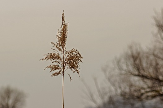 Итоги дня: угроза урожаю озимых в Удмуртии и возможность реставрации главного корпуса Ижевского оружейного завода