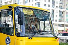 В РФ водителей автобусов обяжут применять средства против сна