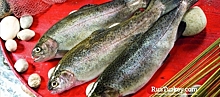 Россия стала рсновным импортером турецкого лосося