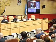 Общественный Совет при Заксобрании Приангарья обсудил развитие парков в регионе