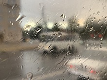 В ночь на четверг в Курской области похолодает до +2°C