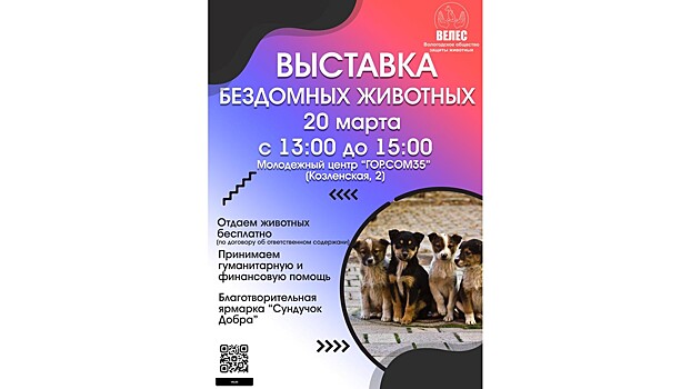 В выходные вологжане смогут выбрать себе питомца в рамках выставки бездомных животных
