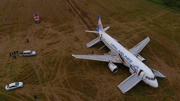 Самолет экстренно сел в поле под Новосибирском. Почему произошло ЧП и кто виноват
