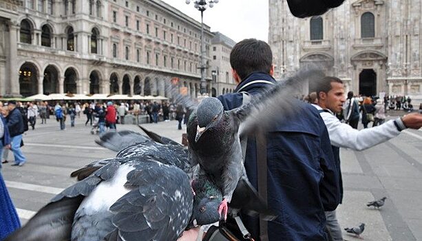 Почему Милан – помойка