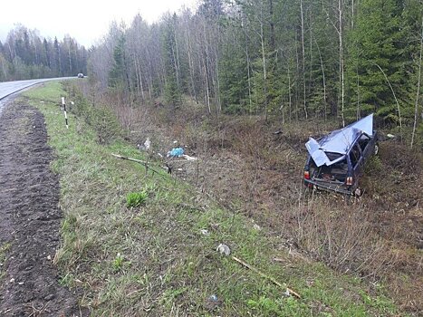 В Мурашинском районе водитель «Оки» вылетел в кювет