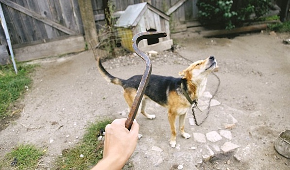 Живодеров к ответу!