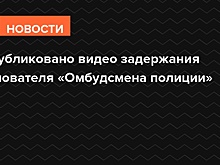 Опубликовано видео задержания основателя «Омбудсмена полиции»