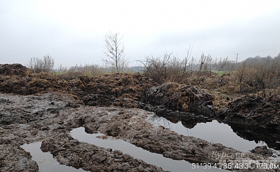 В животноводческих хозяйствах шести районов Курской области выявлены нарушения