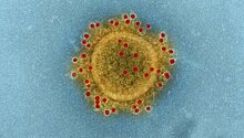 В Саудовской Аравии от коронавируса скончались 4 человека