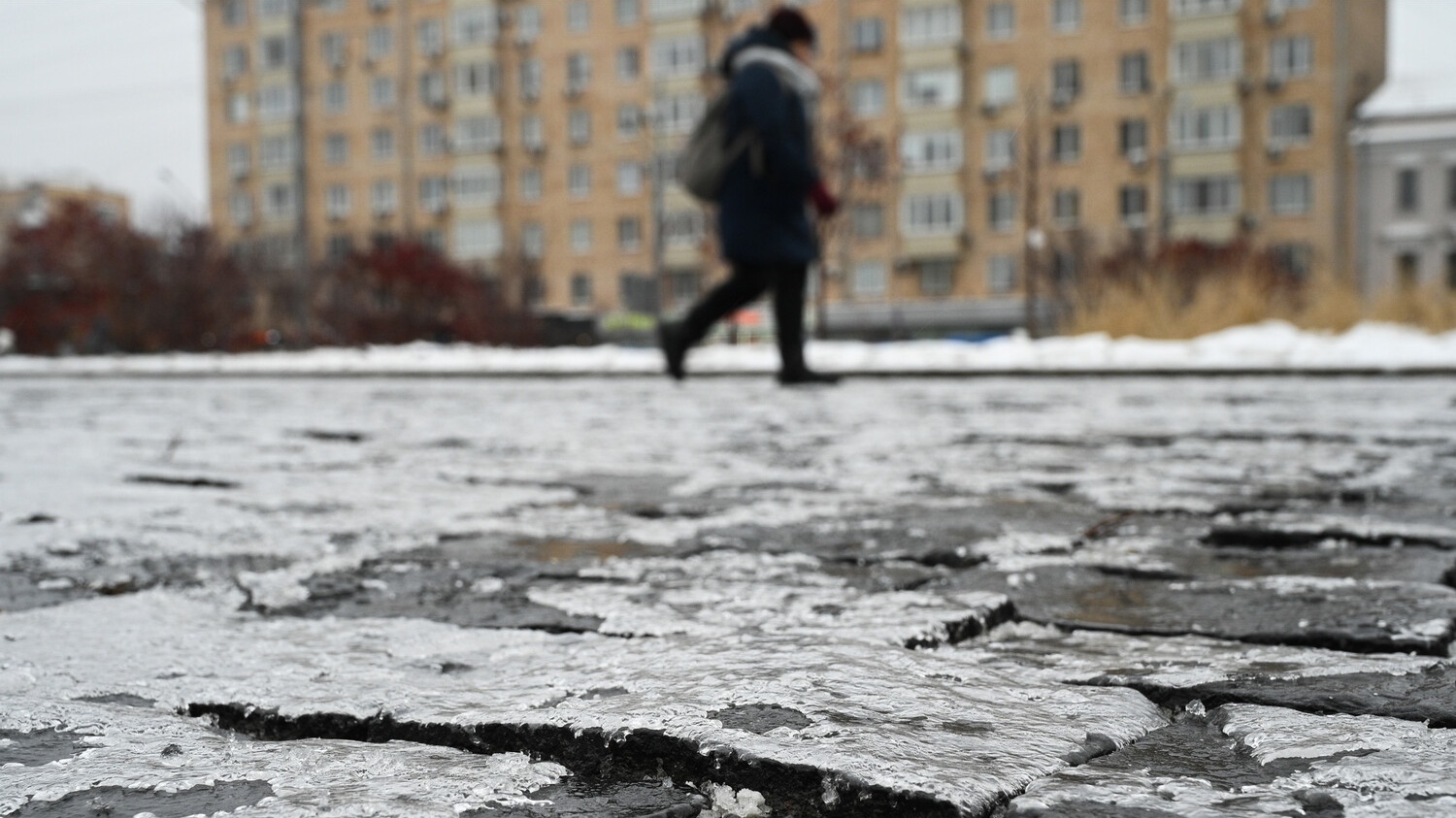Синоптик предупредил о заморозках в Подмосковье в середине недели
