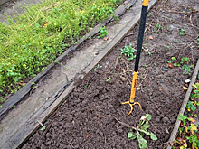 Осенняя обработка почвы: на плотных суглинках у меня два "спасителя"