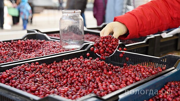Сразу две ярмарки пройдут в начале июня в Вологде