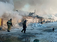 Приют для животный загорелся на Сахалине