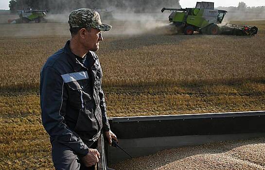 Масштабы падения экспорта российского зерна оценили