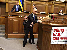 Яценюк обозвал депутатов-драчунов