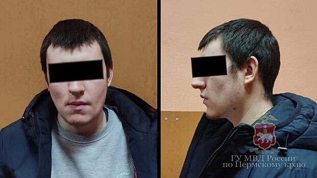 Киберполицейские задержали задержали лжекондитера из Пермского края, обманувшего клиентов по всей стране