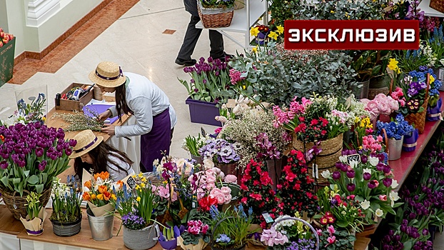 Флорист Николаева дала простые советы по выбору свежих цветов на 8 Марта