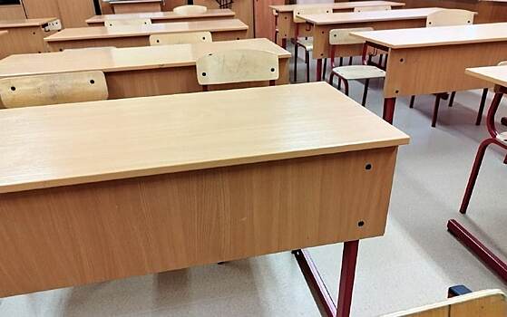 Заседание «Зеленого клуба» прошло в школе №1282