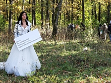 Спектакль-экспедиция, стартовавший в Курской области, претендует на Книгу рекордов Гиннесса