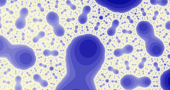 Ученые обнаружили «органы» у бактерии