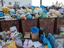 От саратовского регоператора требуют перерасчета за «мусорный коллапс»