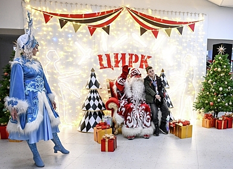 Депутат Шолохов поддержал создание нацпроекта по строительству цирков