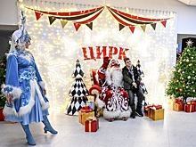 Депутат Шолохов поддержал создание нацпроекта по строительству цирков