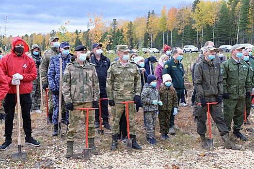 Военнослужащие Росгвардии Югры присоединились к восстановлению лесов