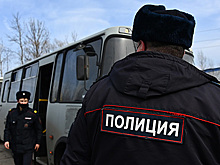 Полиция задержала девять человек у колонии Навального