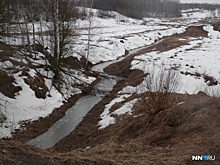 Предприятие в Богородске нанесло вред реке на 5 млрд рублей