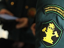 В Подмосковье начали строить три гостиницы в текущем году