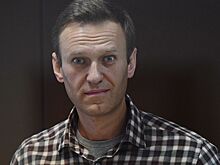 Семья ветерана осталась недовольна решением суда по Навальному