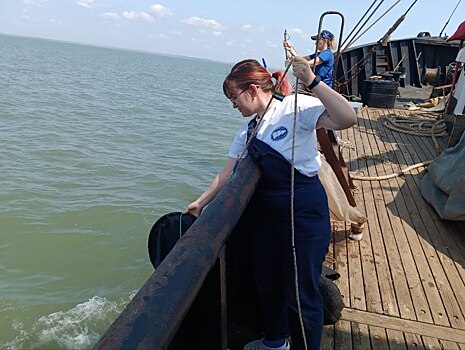 Ростовские ученые оценят запасы тюльки и хамсы в Азовском море