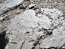 Российские археологи изучили работы художников, которым примерно 14 000 лет