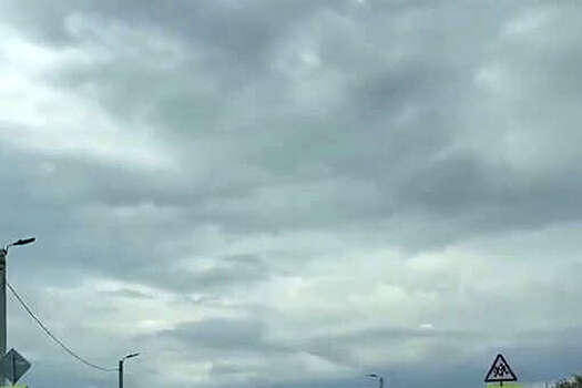 В Ростовской области водитель на видео возмутился 20 пешеходными переходами в лесу