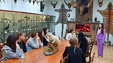 Музей охотничьих трофеев Вятского ГАТУ стал победителем конкурса