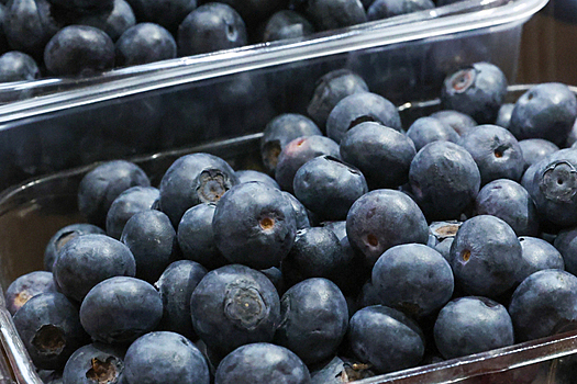 24 человека заболели гепатитом из-за голубики