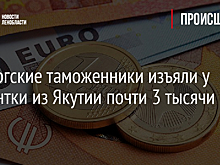 Выборгские таможенники изъяли у студентки из Якутии почти 3 тысячи евро