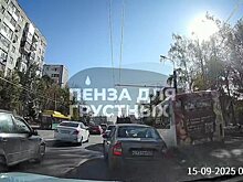 В Пензе наказали водителя маршрутки, проехавшего по тротуару